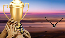 开云网页版(图1)